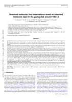 Resolved molecular line observations reveal an inherited molecular layer in the young disk around TMC1A