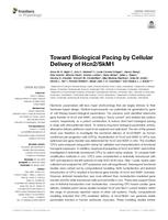 Toward biological pacing by cellular delivery of Hcn2/SkM1