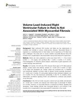 Volume load-induced right ventricular failure in rats is not associated with myocardial fibrosis