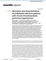 Derivation and characterisation of endothelial cells from patients with chronic thromboembolic pulmonary hypertension