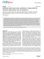 Epithelial argininosuccinate synthetase is dispensable for intestinal regeneration and tumorigenesis