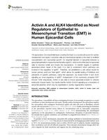 Activin A and ALK4 identified as novel regulators of Epithelial to Mesenchymal Transition (EMT) in human epicardial cells