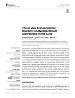 The in vivo transcriptomic blueprint of Mycobacterium tuberculosis in the lung