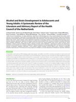 Alcohol and brain development in adolescents and young adults: a systematic review of the literature and advisory report of the Health Council of the Netherlands