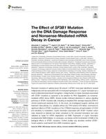 The effect of SF3B1 mutation on the DNA damage response and nonsense-mediated mRNA decay in cancer