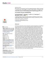 Preclinical testing of small diameter Descemet membrane endothelial keratoplasty grafts to increase tissue availability