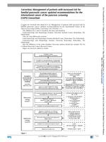 Management of patients with increased risk for familial pancreatic cancer