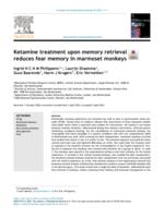 Ketamine treatment upon memory retrieval reduces fear memory in marmoset monkeys