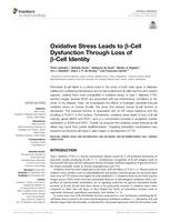 Oxidative stress leads to beta-cell dysfunction through loss of beta-cell identity