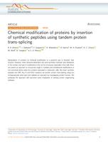 Chemical modification of proteins by insertion of synthetic peptides using tandem protein trans-splicing