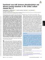 Functional cross-talk between phosphorylation and disease-causing mutations in the cardiac sodium channel Na(v)1.5