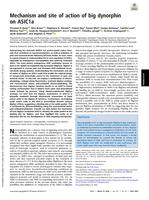 Mechanism and site of action of big dynorphin on ASIC1a