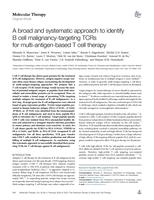 A broad and systematic approach to identify B cell malignancy-targeting TCRs for multi-antigen-based T cell therapy