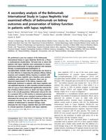 A secondary analysis of the Belimumab International Study in Lupus Nephritis trial examined effects of belimumab on kidney outcomes and preservation of kidney function in patients with lupus nephritis