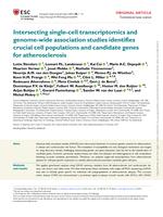 Intersecting single-cell transcriptomics and genome-wide association studies identifies crucial cell populations and candidate genes for atherosclerosis