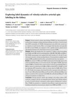 Exploring label dynamics of velocity-selective arterial spin labeling in the kidney