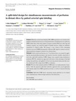 A split-label design for simultaneous measurements of perfusion in distant slices by pulsed arterial spin labeling