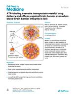 ATP-binding cassette transporters restrict drug delivery and efficacy against brain tumors even when blood-brain barrier integrity is lost