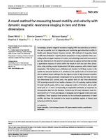 A novel method for measuring bowel motility and velocity with dynamic magnetic resonance imaging in two and three dimensions