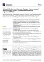 AT1 and AT2 receptor knockout changed osteonectin and bone density in mice in periodontal inflammation experimental model