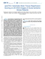 AutoTICI: automatic brain tissue reperfusion scoring on 2D DSA images of acute ischemic stroke patients