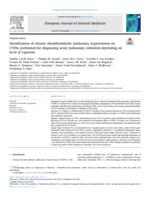 Identification of chronic thromboembolic pulmonary hypertension on CTPAs performed for diagnosing acute pulmonary embolism depending on level of expertise