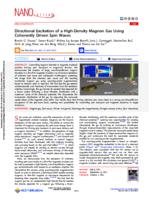 Directional excitation of a high-density magnon gas using coherently driven spin waves