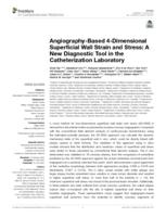 Angiography-based 4-dimensional superficial wall strain and stress: a new diagnostic tool in the catheterization laboratory