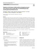 Mutations in the heparan sulfate backbone elongating enzymes EXT1 and EXT2 have no major effect on endothelial glycocalyx and the glomerular filtration barrier