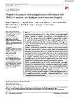 Thrombin in complex with dabigatran can still interact with PAR-1 via exosite-I and instigate loss of vascular integrity