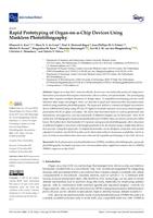 Rapid prototyping of organ-on-a-chip devices using maskless photolithography