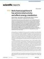 Berkchaetoazaphilone B has antimicrobial activity and affects energy metabolism