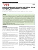 Efficacy of ketamine in relieving neuropathic pain: a systematic review and meta-analysis of animal studies