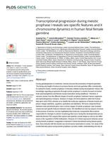 Transcriptional progression during meiotic prophase I reveals sex-specific features and X chromosome dynamics in human fetal female germline