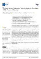 Aging and microglial response following systemic stimulation with escherichia coli in mice