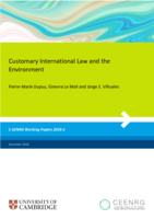 Customary International Law and the Environment