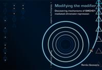 Modifying the modifier