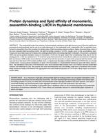 Protein dynamics and lipid affinity of monomeric, zeaxanthin-binding LHCII in thylakoid membranes