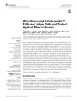 IFNγ-stimulated B cells inhibit T follicular helper cells and protect against atherosclerosis