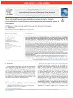 Near-infrared fluorescence-guided metastasectomy for hepatic gastrointestinal stromal tumor metastases using indocyanine green