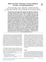 Right ventricular–pulmonary arterial coupling in secondary tricuspid regurgitation