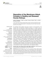 Deposition of the membrane attack complex in healthy and diseased human kidneys