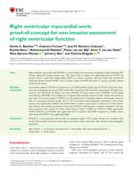 Right ventricular myocardial work