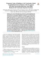 Prognostic value of multilayer left ventricular global longitudinal strain in patients with ST-segment elevation myocardial infarction with mildly reduced left ventricular ejection fractions