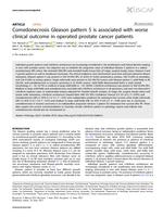 Comedonecrosis Gleason pattern 5 is associated with worse clinical outcome in operated prostate cancer patients