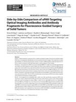 Side-by-side comparison of uPAR-targeting optical imaging antibodies and antibody fragments for fluorescence-guided surgery of solid tumors