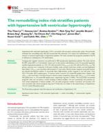 The remodelling index risk stratifies patients with hypertensive left ventricular hypertrophy