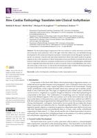 How cardiac embryology translates into clinical arrhythmias