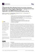 Cold-inducible RNA-binding protein but not its antisense lncRNA is a direct negative regulator of angiogenesis in vitro and in vivo via regulation of the 14q32 angiomiRs-microRNA-329-3p and microRNA-495-3p