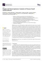 Single-cell transcriptomics analysis of human small antral follicles